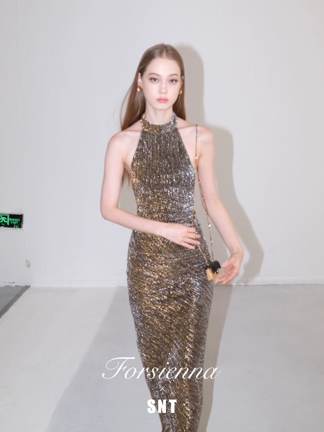 Golden Glimmer Halter Dress & Top SNTT0255